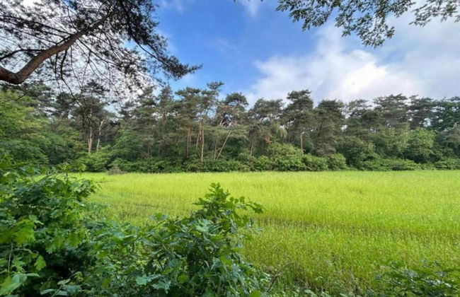 Apartment in Gelderland Near Nature Trails - Photo 38