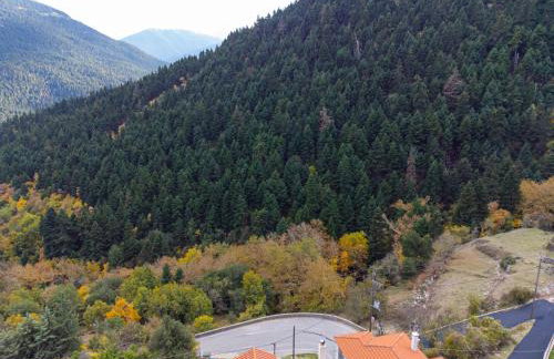 Villa Korfes-Πέτρινη Τριώροφη Βίλα-Άνεση & Ιδιωτικότητα - Foto 6