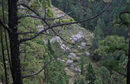 Casa Rural el Riachuelo - Foto 17