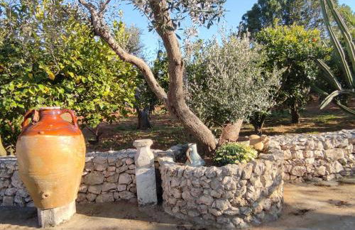 Villa Sargheruoli - Foto 79