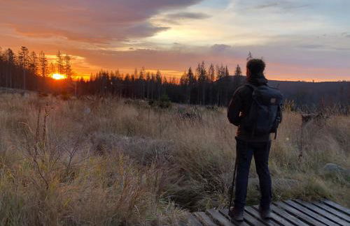 Waldloft - Okertal Goslar Harz - Photo 32