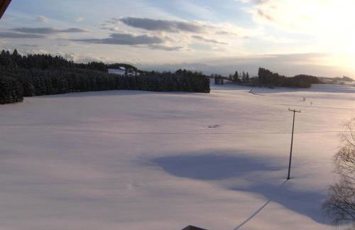 Gasthof Grüner Baum "Kongo" - Foto 11