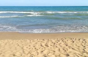 Arte y natura en la playa de Eucaliptus - Foto 6