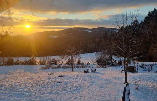 Ferienwohnung Waldidyll - Foto 2