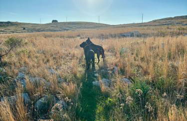 La Dimora di Ulisse - Foto 72