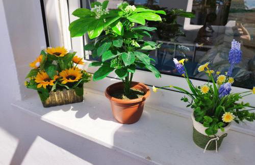 ATLANTERRA PUEBLO - Foto 24