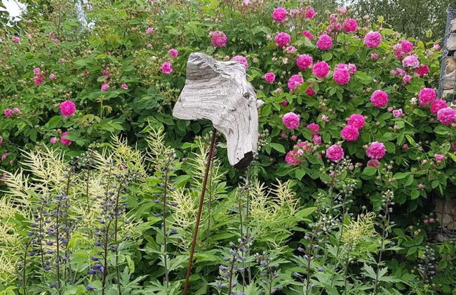 Frankenwaldhaus Comfortable Holiday Residence - Foto 31