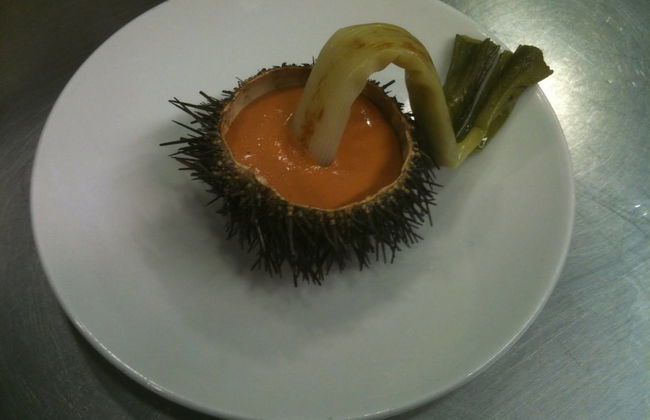 The Old Palace Tower / La Torre del Palación - Foto 32