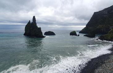 Flores Whale Watch House - Foto 18