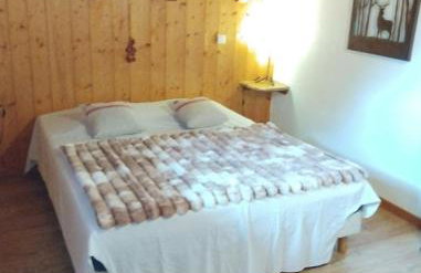 Chalet Indépendant " L'anfian-ne" - Foto 8