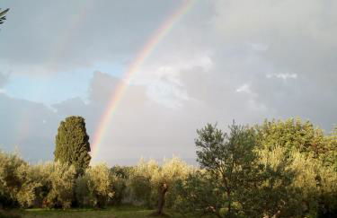 Agriturismo Baglio Calanchi - Foto 23