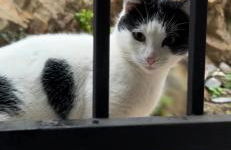 Rufina casa rural con bañera hidromasaje - Foto 5