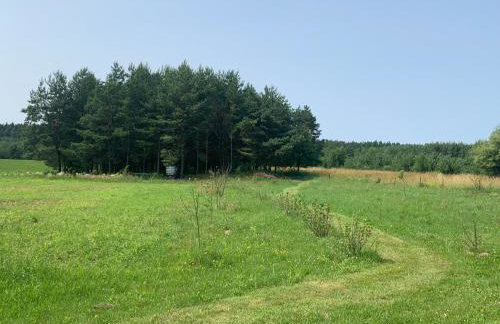 Domek wypoczynkowy Letnisko Sosenkowo - Foto 37