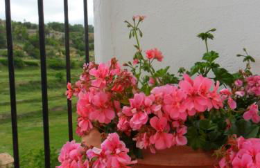 Casa Rural Las Dalias con Hidromasaje - Foto 55