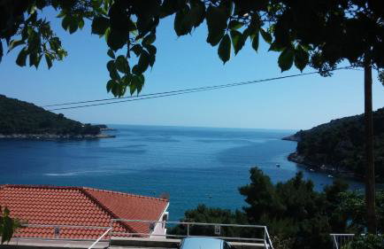 Apartments Pavlić - Photo 33