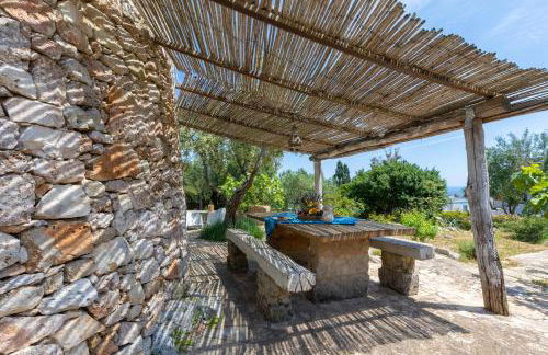 Pajara Rugiada - Foto 27