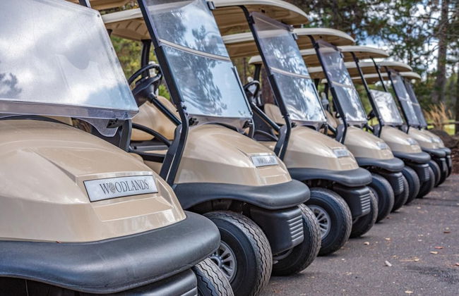 Crane Drive 17166 - Foto 29