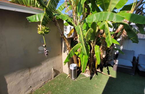 LA Getaway Oasis - Foto 7