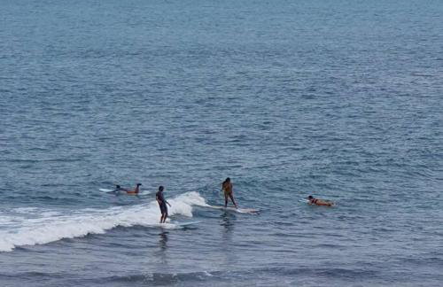 Barra Premium - Foto 39