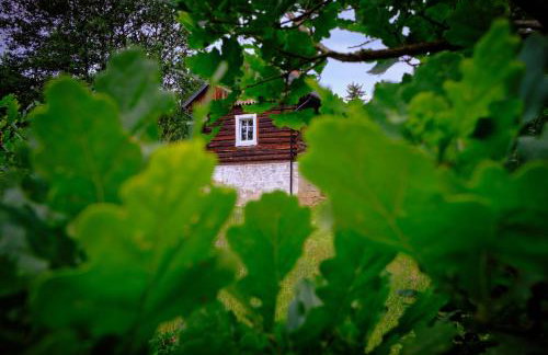 Morowo chałupa - Photo 6