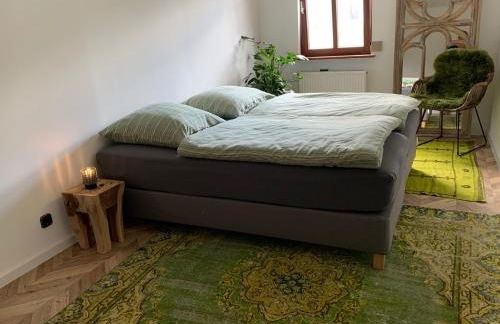 Nibelungen 3 Zimmer Apartment - Photo 16