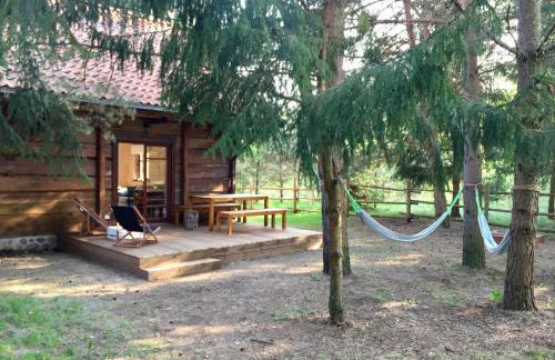 Sosnowy Zakatek - Foto 30