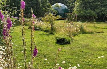Woodland dome - Foto 15