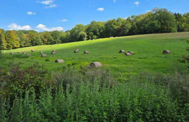 Perch, for work or wandering the Litchfield Hills - Foto 38