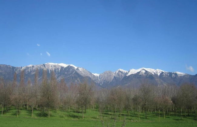 Farmhouse in Asolo Near Medieval Town - Foto 29