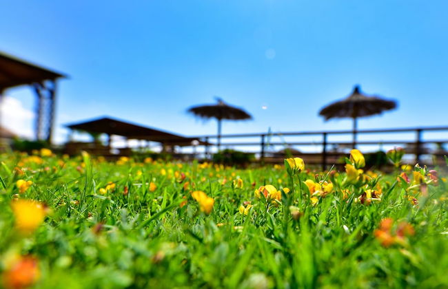 Agriturismo il Laghetto - Foto 35