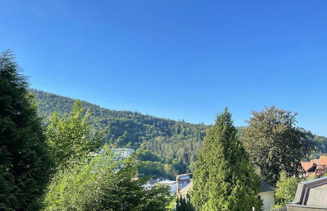 Apartment in Bad Herrenalb With Indoor Pool - Foto 61