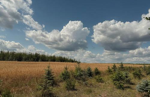 Apartamenty i Winnica - Siedlisko Na Polanie - Foto 4