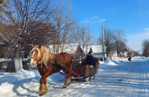 Przystanek Trześcianka - Foto 42