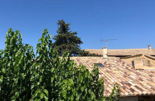 Le Patio du Mûrier - Foto 35
