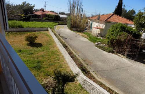 JERRY'S STUDIOS LASSI - Photo 45