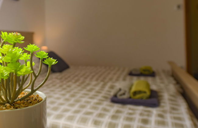 Apartments Rikli - Foto 7