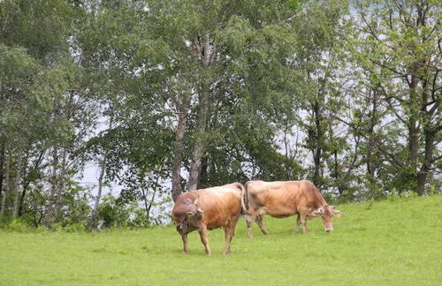 Agriturismo Piccolo paradiso - Foto 77