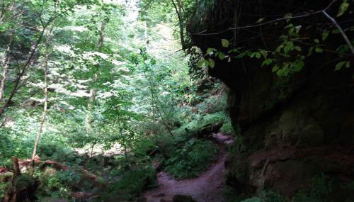 Ferienhaus Robinson Crusoe Schwarzkittelpfad 80 - Foto 4