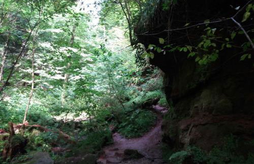 Ferienhaus Robinson Romantikpfad 162 - Foto 16