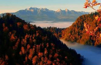 Apartament Kluskowe Widoki - Photo 22