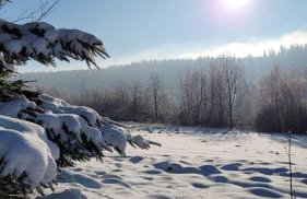 Osada Sierpnica - Uroczy dom z kominkiem i balią w Górach Sowich - Foto 46