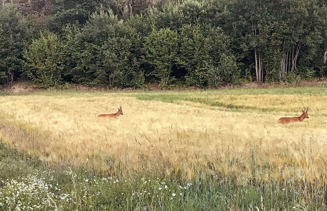 8 Person Holiday Home in Grebbestad-by Traum - Foto 17