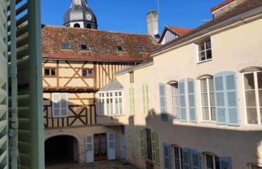 Appartement plein de charme - Centre Bar-Sur-Aube - Foto 11