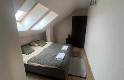 Adlerek Krynica - Foto 7