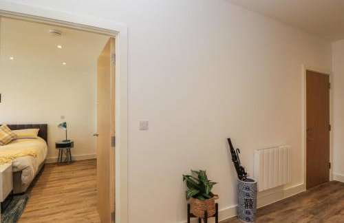 The Studio - Foto 10