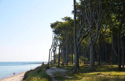 Ostseeblick - Foto 29