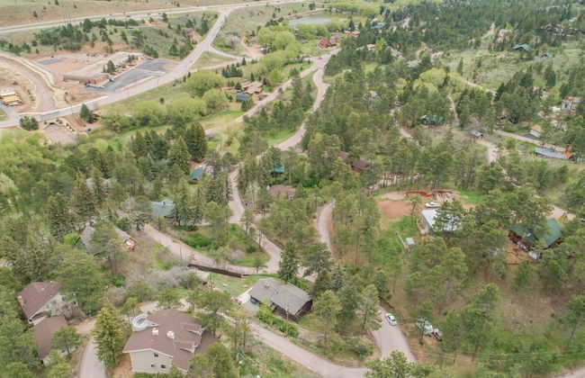 4BR Mountain Getaway Pikes Peak, Dog-friendly! - Foto 44