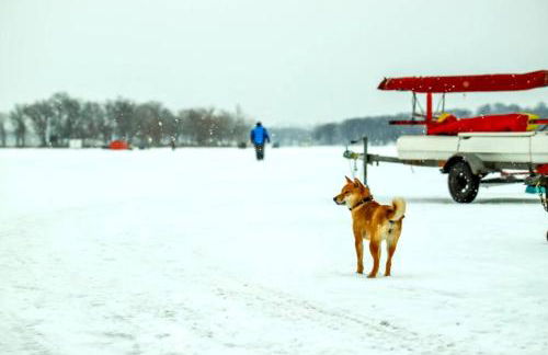 Luxe Spa Cabin: Hot Tub + Sauna + Fire - Foto 36