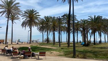 Avenida Mare Nostrum 7 Patacona Beach Breakfast items in the home - Foto 2