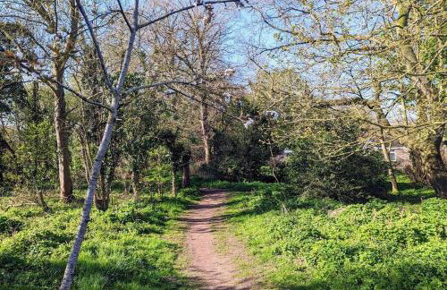 Oak Tree View - relax, reconnect, explore or work - Foto 21